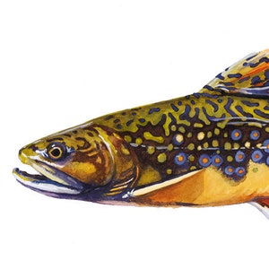 Brook Trout, Appalachian Brook Trout, Speckled Trout, Trout Art, Trout Watercolor, Fly Fishing Art, Brook Trout Art, Lake House Decor