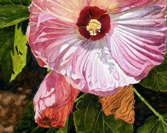 Rose Mallow Watercolor, Pink Hibiscus, Botanical Art, Giclee Print, Pink Tropical Flower, Nature Decor, Garden Art Print, Cottagecore Decor