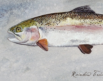 Rainbow Trout, Trout Watercolor, Trout Art, Fly Fishing Art, Fish Wall Art, Fishing Gift, Lake House Decor, Cabin Decor, Rustic Cabin Decor