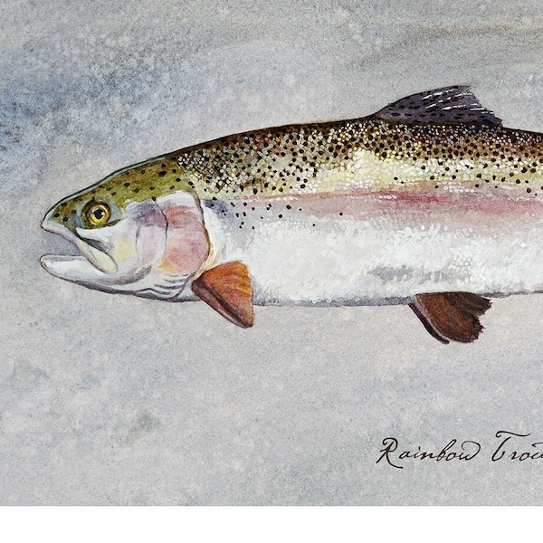 Truite arc-en-ciel, aquarelle de truite, art de la truite, art de pêche à la mouche, art mural de poisson, cadeau de pêche, décor de maison de lac, décor de cabine, décor de cabine rustique