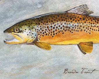 Brown Trout Art, Watercolor Trout, Fly Fishing Art, Trout Print, Lake House Decor, Cabin Decor, Rustic Cabin Decor, Trout Watercolor