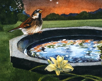 Sparrow Watercolor, Bird Art, Watercolor Print, Daylily, Summer landscape, Night sky, Nature art, Bird bath, Botanical watercolor,