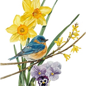 Bluebird Watercolor, 5x7 Print, Bluebird, Spring, Bird Art, Akwarela, Wiosna Botaniczna, Botaniczny, Natura, Bluebird Art, Bird Lover Art