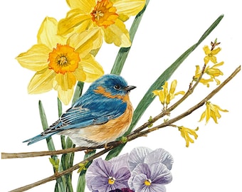 Bluebird-aquarel, 5 x 7 afdrukken, Bluebird, lente, vogelkunst, aquarel, lente botanisch, botanisch, natuur, Bluebird kunst, kunst vogelliefhebber