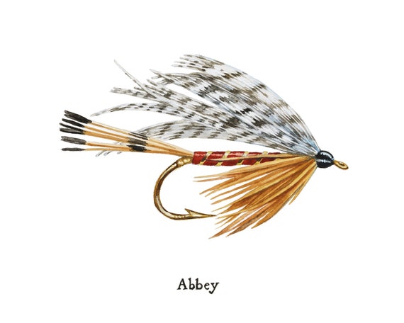 Watercolor Art Print, Fishing Fly, Abbey Fly, Fly Fishing Art, 5 X