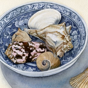 Seashell Watercolor, Blue and White, Chinoiserie Art, 5x7 Watercolor,Seashell Art,Chinoiserie Watercolor,Beach House Decor,Coastal Wall Art, image 2