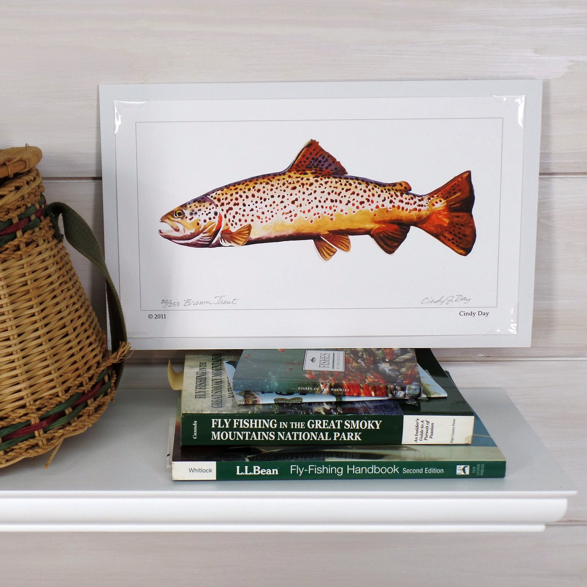 Stampa Artistica 11x17: Vintage Esche Da Pesca A Mosca Con Trota – Poster Per Parete Cabina - Foto 3