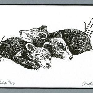 Sleeping Bear Cubs, Black Bear Cubs, Pen and Ink Art Print, 5x7 Print, Matted Print, Baby Bear Cubs, Baby Shower Gift, Nursery Wall Art image 2