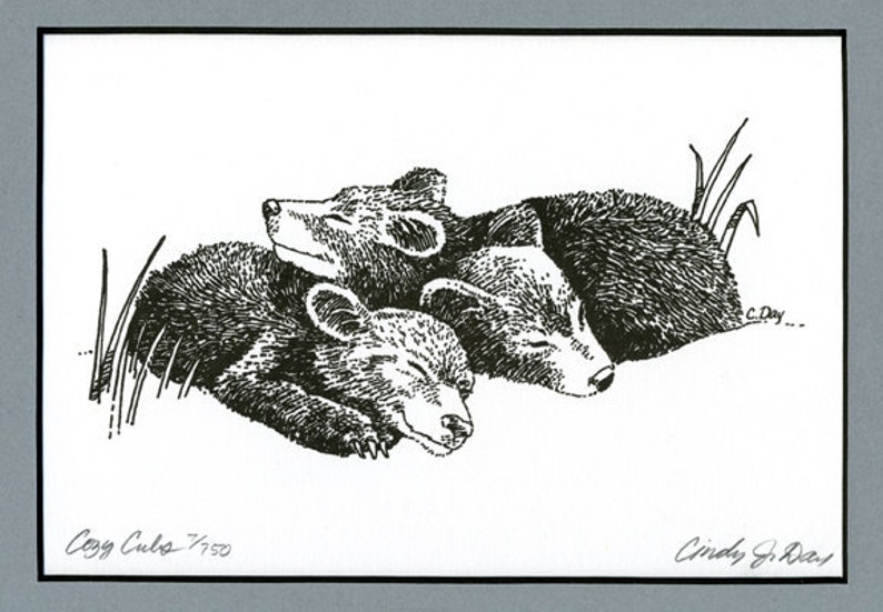 Sleeping Bear Cubs, Black Bear Cubs, Pen and Ink Art Print, 5x7 Print, Matted Print, Baby Bear Cubs, Baby Shower Gift, Nursery Wall Art image 2