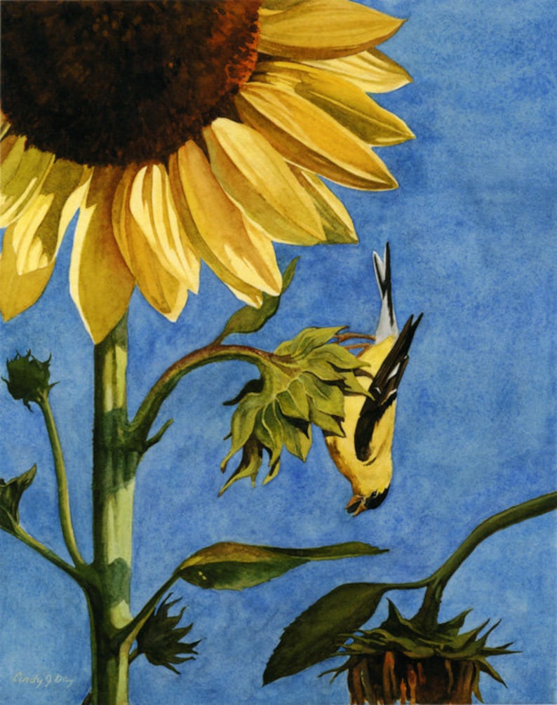 Watercolor Goldfinch and Sunflower Painting Bird Art | Etsy