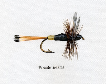 Fishing Fly, Female Adams, Watercolor Art Print, Trout Art, Fly Fishing Art,Dad Gift,Fathers Day Gift,Fishing Decor,Cabin Decor,Gift for him