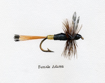 Puede incluir: Primer plano de una mosca de pesca negra y dorada con plumas marrones y grises. La mosca está atada a un anzuelo y está etiquetada como "Female Adams".