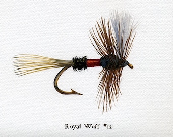 May include: A Royal Wuff #12 fly fishing lure with brown, black and red feathers. The lure is tied on a hook with a brown shank.