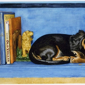 Longhaired Dachshund Art, Watercolor Art Print, Dachshund, Sleeping Dachshund, Books, Watercolor, Dachshund Gift, Dog Art, Dog Lover Gift