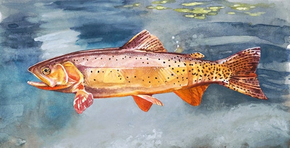 Yellowstone, Cutthroat Trout, Fly Fishing Art, Trout Art, Fish Wall Art,  Trout Watercolor, Lake House Decor, Rustic Cabin Decor,fishing Gift -   Canada