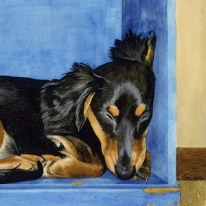 Longhaired Dachshund Art, Sleeping Dachshund, Books, Watercolor Art Print, Dachshund Gift, Dog Lover Gift, Book Lover Gift, Dog Art