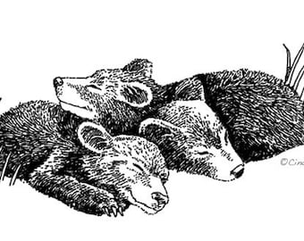 Sleeping Bear Cubs, Black Bear Cubs, Pen and Ink Art Print, 5x7 Print, Matted Print, Baby Bear Cubs, Baby Shower Gift, Nursery Wall Art