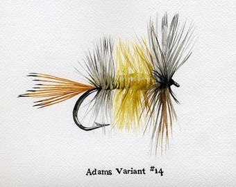 Puede incluir: Una pintura de acuarela de un señuelo de pesca con mosca, conocido como mosca, con un cuerpo de plumas marrón, amarillo y gris. La mosca está atada a un anzuelo y tiene una cola marrón. El texto "Adams Variant #14" está escrito debajo de la mosca.