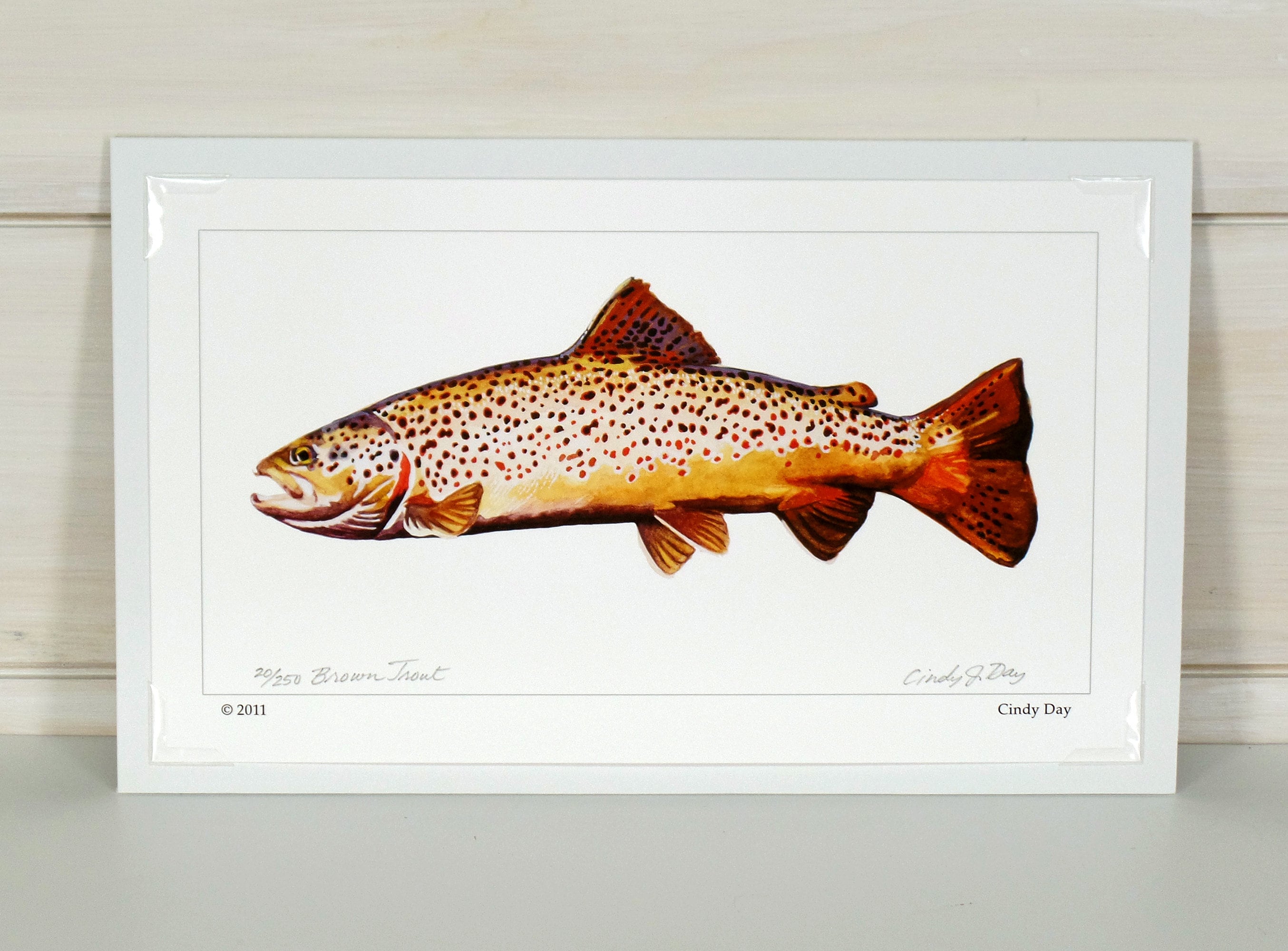 Stampa D'arte Pesca A Mosca Trota Arcobaleno 11x17 &ndash; Poster Vintage Lodge