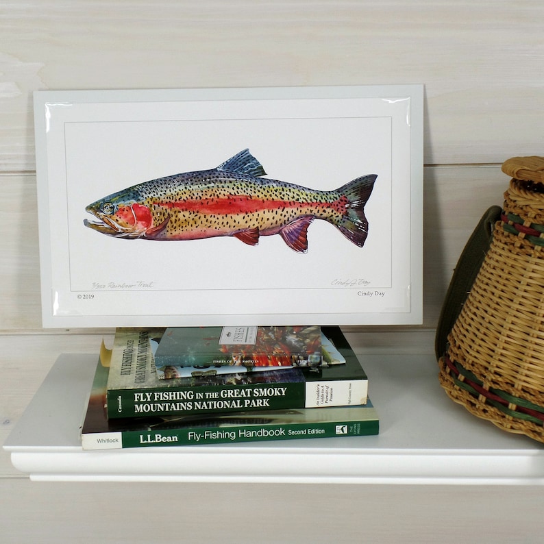 Rainbow Trout Trout Art Fly Fishing Art Fly Fishing Trout Etsy