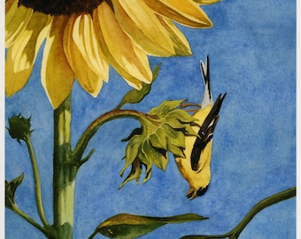 Goldfinch, American Goldfinch, Sunflower, Watercolor Print, Watercolor Art, Bird Art, Nature, bird Lover's Gift, Gift for Her, Gift for Mom