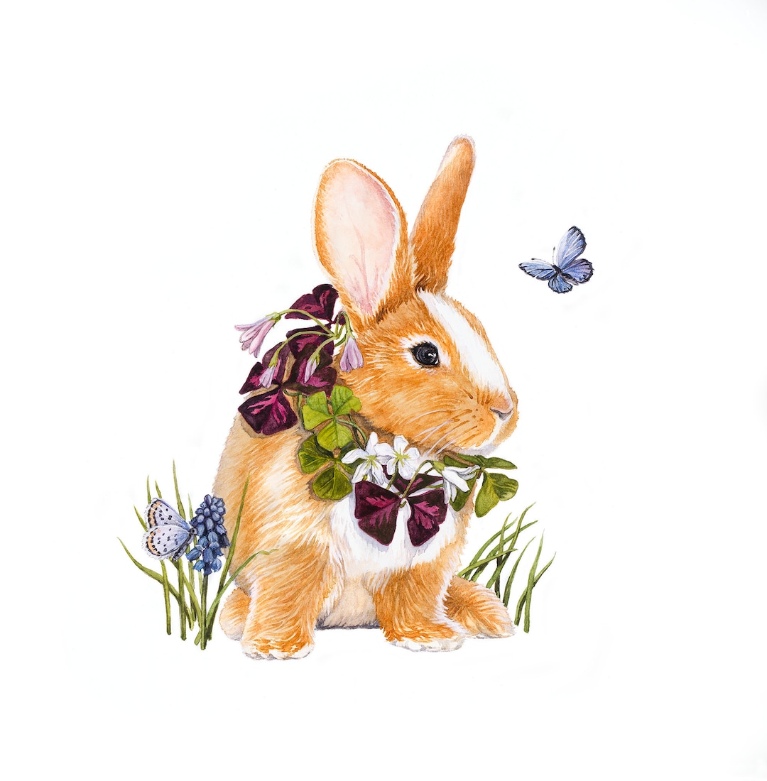 Shamrock Rabbit Shamrock Bunny Watercolor,watercolor Bunny,bunny Easter Bunny Art ...
