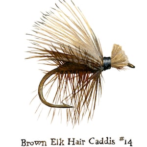 Caddis de pelo de alce marrón, pesca con mosca, arte de trucha, impresión de arte de acuarela, decoración de pesca, regalo para papá, regalo para él, regalo del Día del Padre, acuarela