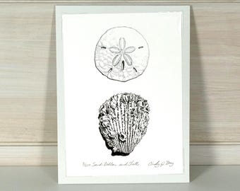 Sand Dollar and Barnacle Shell Art Print – 5x7 Pen and Ink Coastal