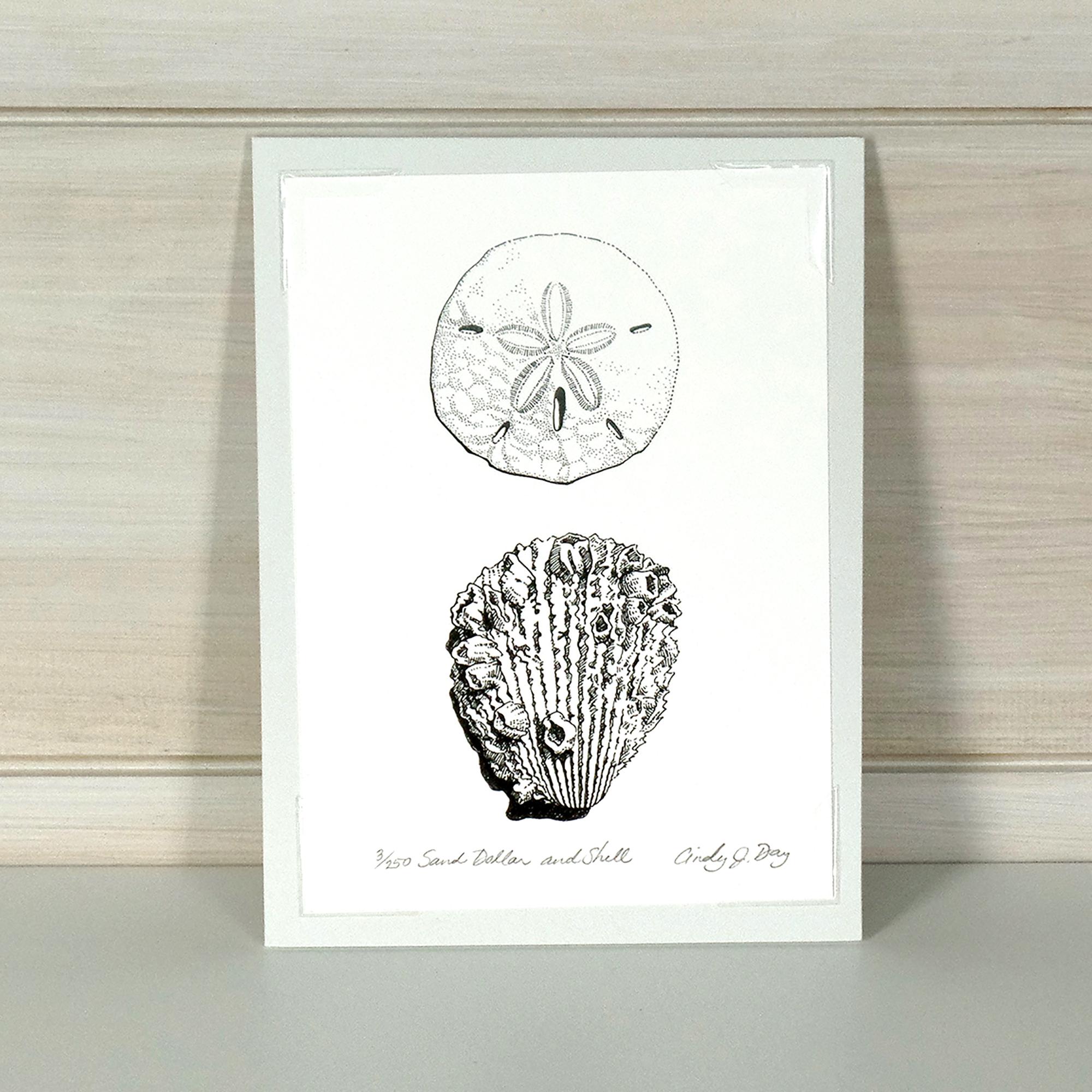 Sand Dollar and Barnacle Shell Art Print – 5x7 Pen and Ink Coastal