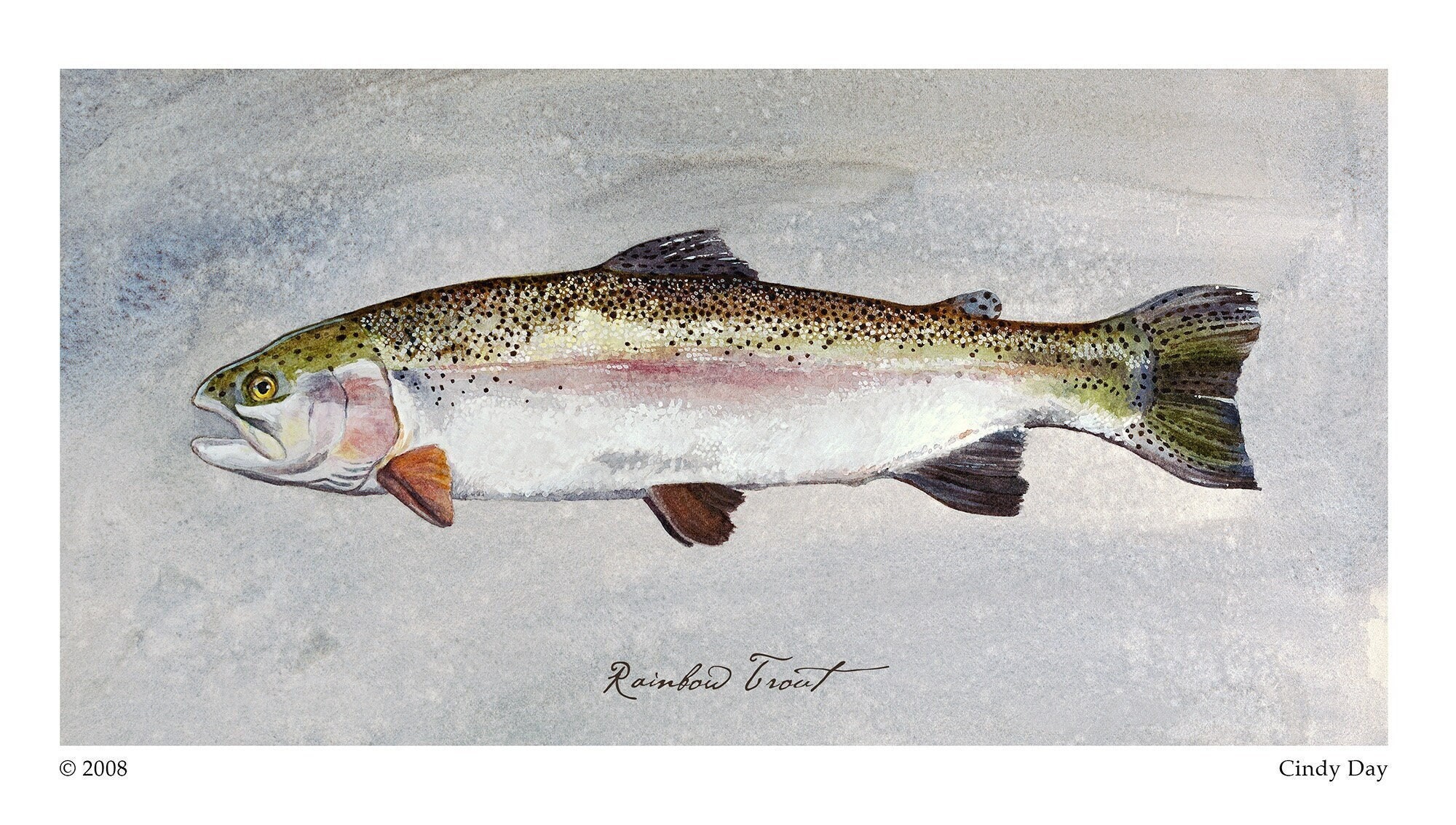 Regenboogforel, forel aquarel, forel kunst, kunst vliegvissen, kunst aan de muur vis, vis cadeau, Lake House decor, cabinedecor, rustieke cabinedecor