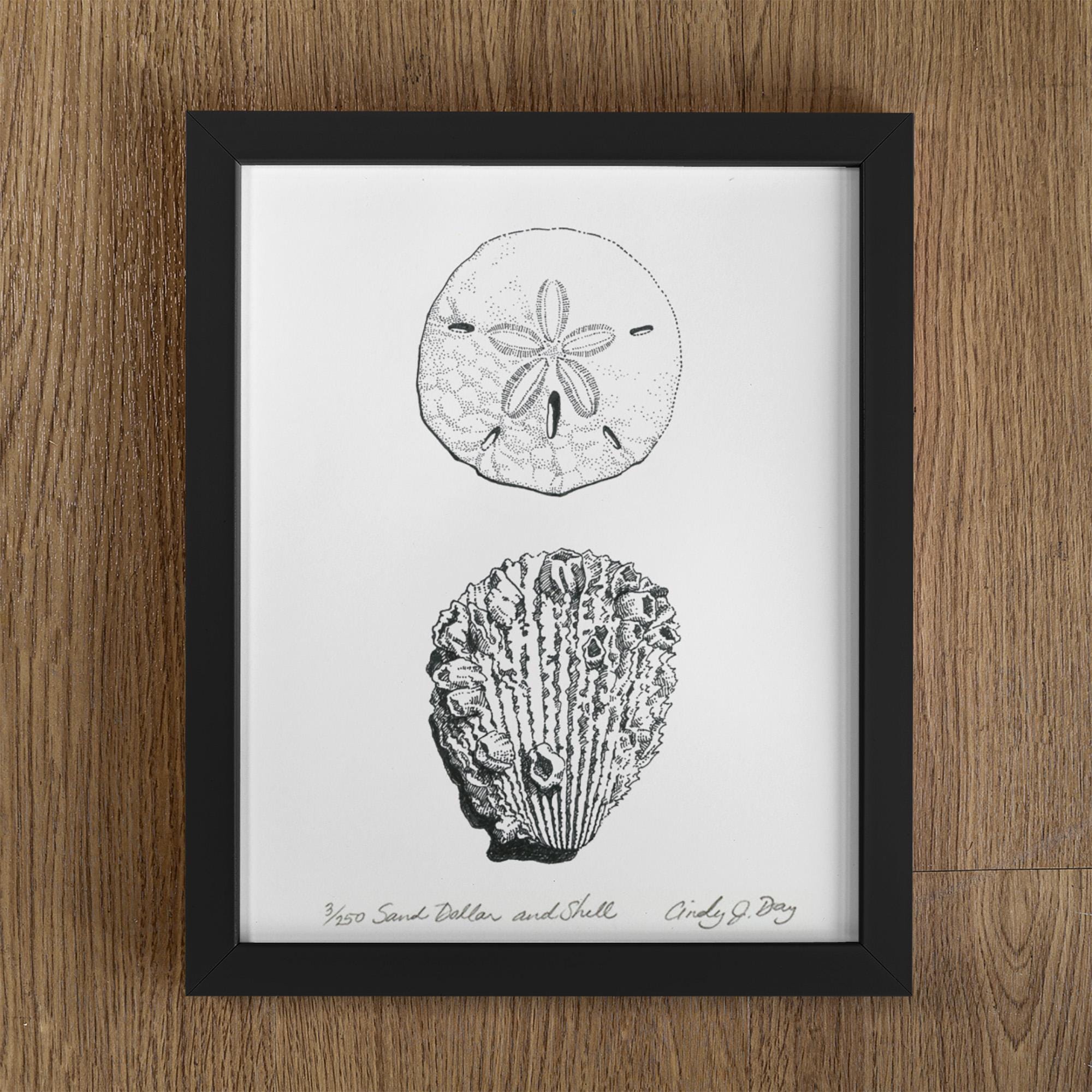 Sand Dollar and Barnacle Shell Art Print – 5x7 Pen and Ink Coastal