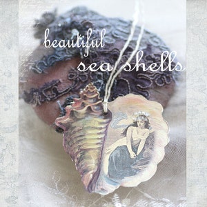 the mermaid within beautiful seashell art tags image 1
