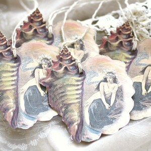 the mermaid within beautiful seashell art tags image 4