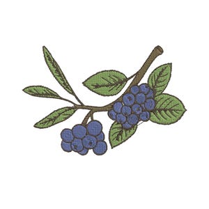 Blueberry Machine Embroidery Design, Blueberry Digital Embroidery File, Cute Berries Machine Embroidery File, Fruit Embroidery, 5 Sizes