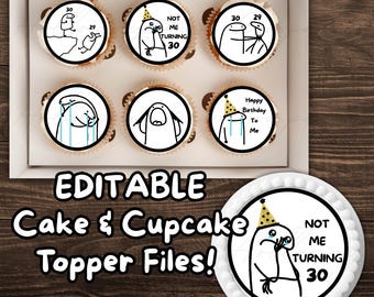 EDITABLE Meme Birthday Cupcake and Cake Toppers, Hilarious Birthday, Funny Cake Toppers, Birthday Decor, Cake Cupcake Topper, Funny Birthday