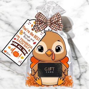 May include: A Thanksgiving-themed gift bag with a cartoon turkey holding a gift card. The bag is clear with a brown plaid bow and a tag that reads "You're the BEST...I'M THANKFUL EACH DAY FOR ALL YOU do!"