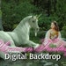 see more listings in the Digital Backdrops section