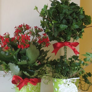 Marsala Red / Green Christmas Holiday Centerpiece Vases, Decorations, Hostess Gifts / Damask, Polka Dot Flower Pot Vase, Party Favors Set 6 image 4