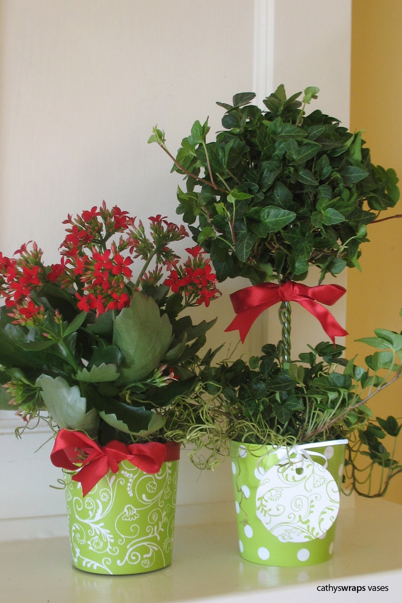 Marsala Red / Green Christmas Holiday Centerpiece Vases, Decorations, Hostess Gifts / Damask, Polka Dot Flower Pot Vase, Party Favors Set 6 image 4