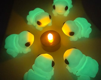 Chunky Frog Glow in the Dark Magnet 3D Print Model Articulated Fidget Sensory Desk Halloween Toy