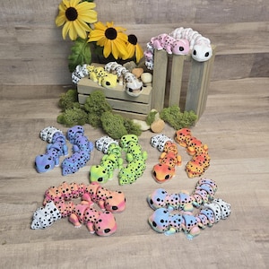 Puede incluir: Una colección de ocho figuritas de gecko segmentadas y coloridas. Cada gecko es de un color diferente, incluyendo rosa, amarillo, azul, verde, naranja y morado. Los geckos están dispuestos en un círculo sobre una superficie de madera.