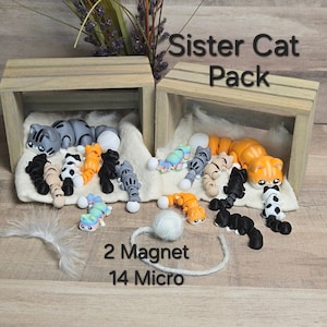 K&ouml;nnte beinhalten: Ein Set aus 16 handgefertigten Katzenfiguren aus Polymer Clay in einer Holzkiste. Das Set enth&auml;lt zwei gr&ouml;&szlig;ere Magnetkatzen und 14 kleinere Mikrokatzen. Die Katzen sind in verschiedenen Posen und Farben, darunter grau, orange, schwarz und wei&szlig;. Der Text "Sister Cat Pack" ist auf der Kiste aufgedruckt.