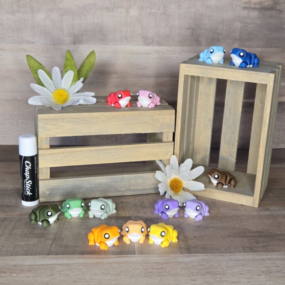 Chunky Frog Micro Desk Fidget Toy Accessory Sensory Tiny Animals Articulated 3D Printed Mystery Pack