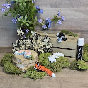 May include: Four colorful, segmented, animal-shaped toys made of polymer clay. The toys are arranged on a bed of green moss. The toys are a rainbow-colored cat, a white cat, a red fox, and a gray cat.