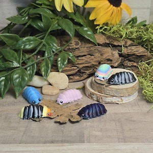 Op de afbeelding: Een verzameling kleurrijke, miniatuur pissebedfiguren. De figuren zijn in verschillende kleuren, waaronder blauw, roze, regenboog, zwart en geel, en donkerblauw. Ze zijn gerangschikt op een houten oppervlak met natuurlijke elementen zoals bladeren en bloemen.