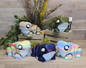Super Chunky Frog 3D Printed Unique Fidget Sensory Toy Desk Accessory Gift Idea