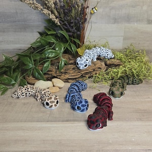 Leopard Gecko Camo Magnet Articulated Chunky Sensory Fidget Desk Toy Decoration 3D Print Choose Your Own