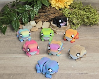 Chunky Frog Rainbow Gradient Magnet Articulating Fidget Sensory Choose Your Own 3D Print Model Office Desk Accessory
