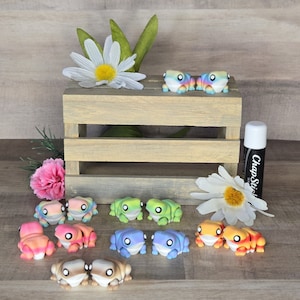 Chunky Frog Micro Rainbow Articulated 3D Print Sensory Fidget Toy Desk Choose Your Own