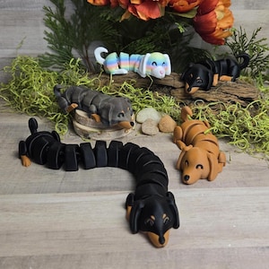 Könnte beinhalten: Eine Sammlung von Dackel-Hundefiguren in verschiedenen Farben und Stilen. Einer ist ein buntes, bewegliches Spielzeug, während andere einfarbig schwarz, braun und grau sind. Einige liegen auf Holzscheiben und einem Baumstamm.